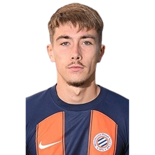 Lucas Mincarelli Davin Icon