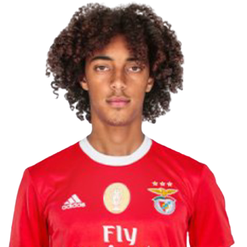 Tomas Tavares Icon