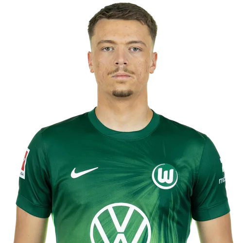 Dzenan Pejcinovic Icon
