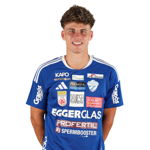 Matthias Postl Icon