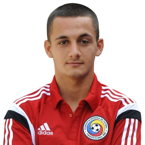 Alexandru Ionuț Mitriță