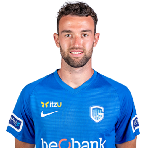 Dries Wouters Icon