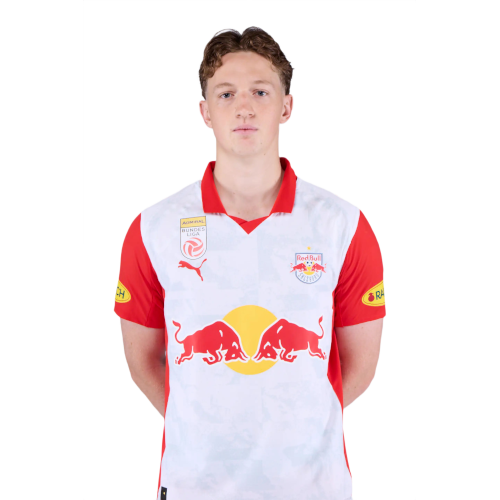 Valentin Sulzbacher Icon