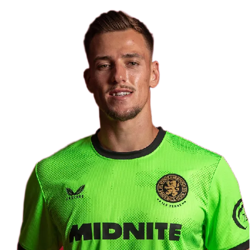 Radek Vítek Icon