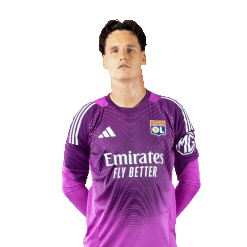 Rémy Descamps Icon
