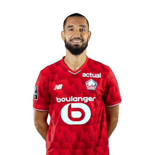 Nabil Bentaleb Icon