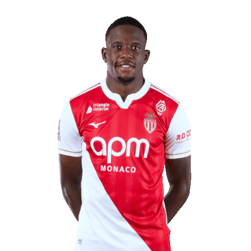 Denis Zakaria Icon