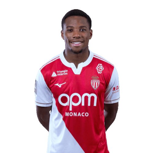 Stanis Idumbo Icon