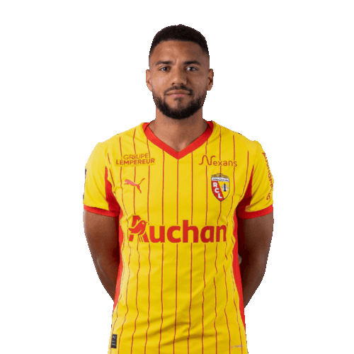 Matthieu Udol Icon