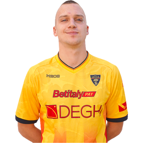 Nikola Štulić Icon