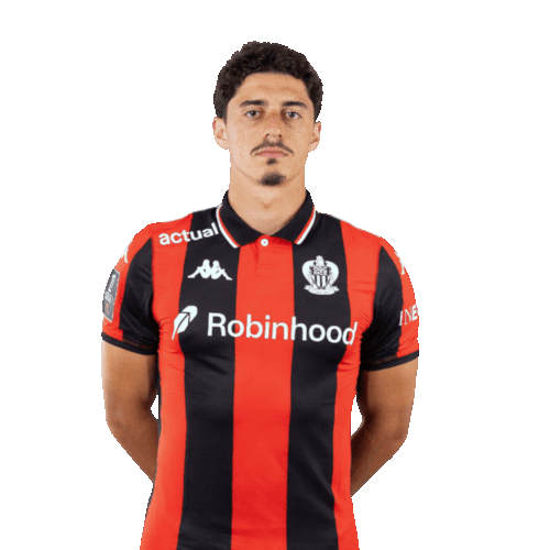 Tiago Antunes Gouveia Icon