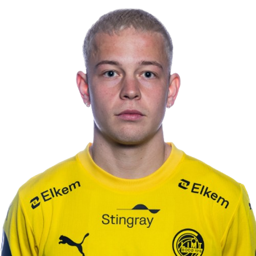Sondre Auklend Icon
