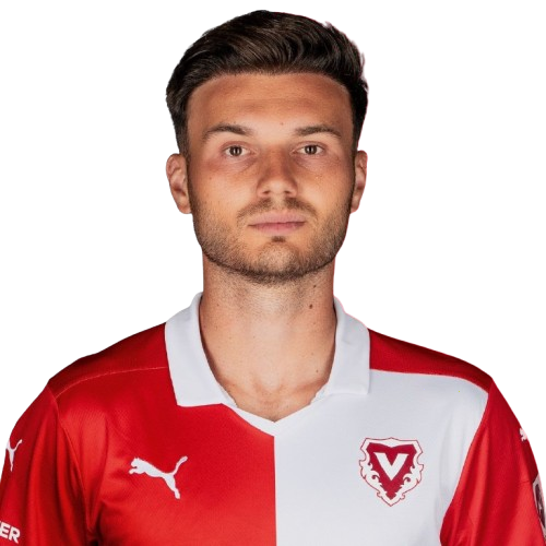Dominik Schwizer Icon
