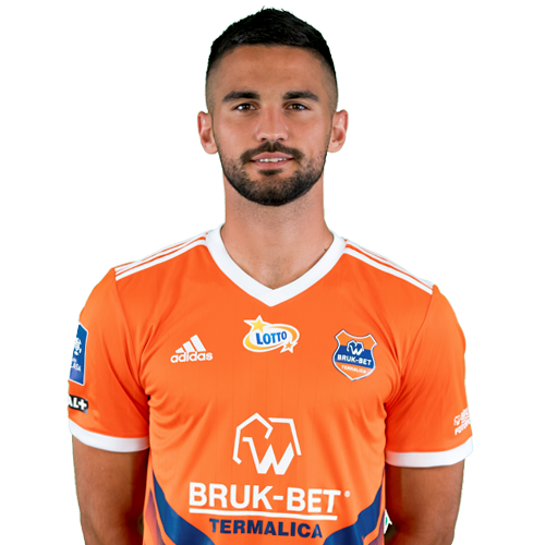 Nemanja Tekijaški Icon