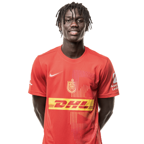 Stephen Acquah Icon