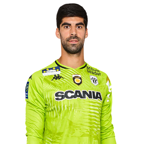 Danijel Petković Icon