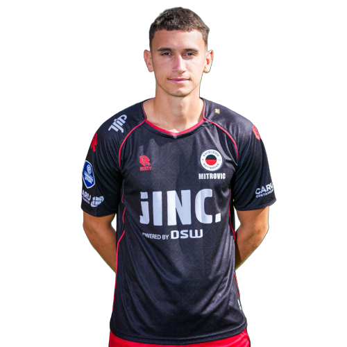Stefan Mitrović