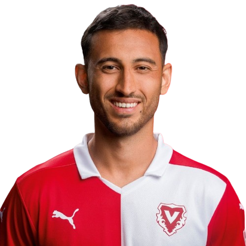 Dejan Djokic Icon