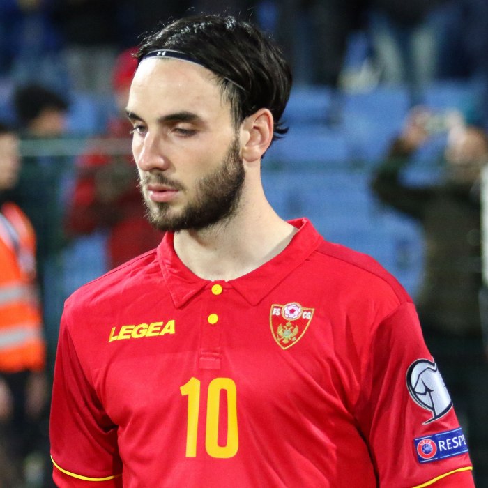 Marko Janković Icon