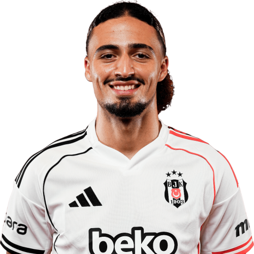 Taylan Bulut Icon