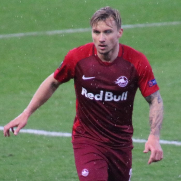 Fredrik Gulbrandsen Icon