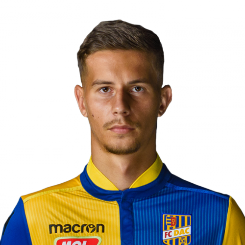 Ľubomír Šatka Icon