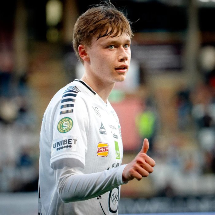 Linus Alperud Icon