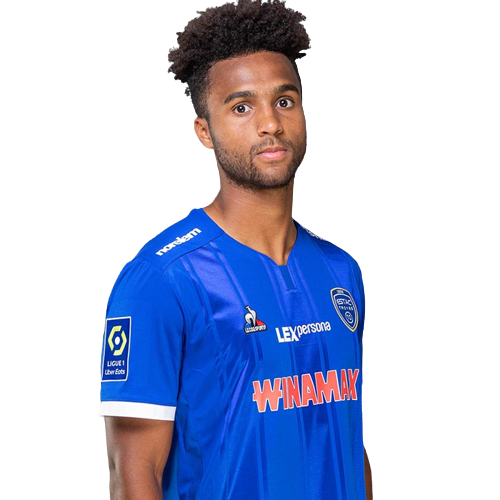 Erik Palmer-Brown Icon