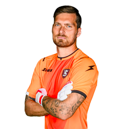 Vid Belec Icon