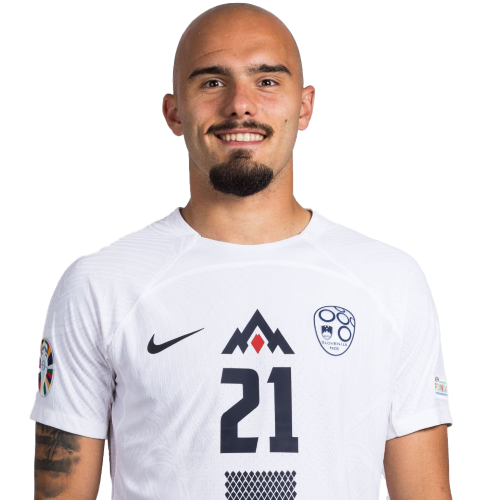 Vanja Drkušić Icon