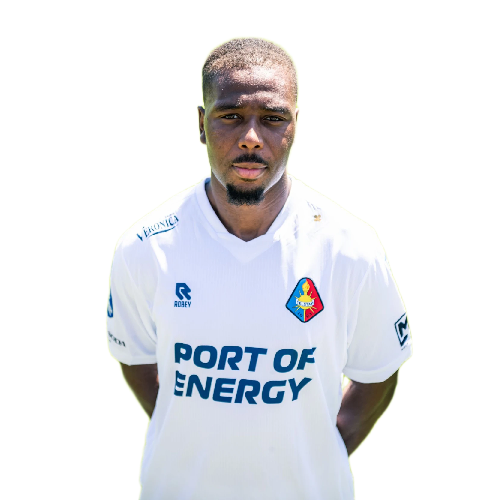Nigel Ogidi Nwankwo Icon