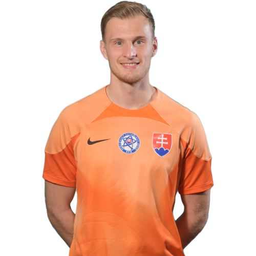 Henrich Ravas Icon