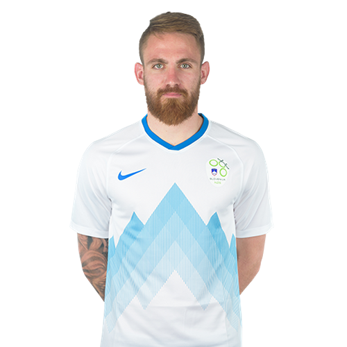 Žan Majer Icon