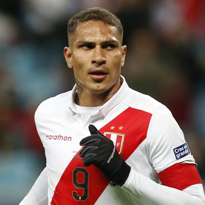 Paolo Guerrero Icon