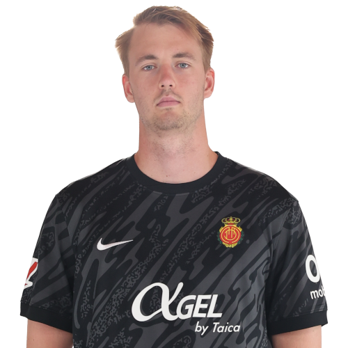 Lucas Bergström Icon
