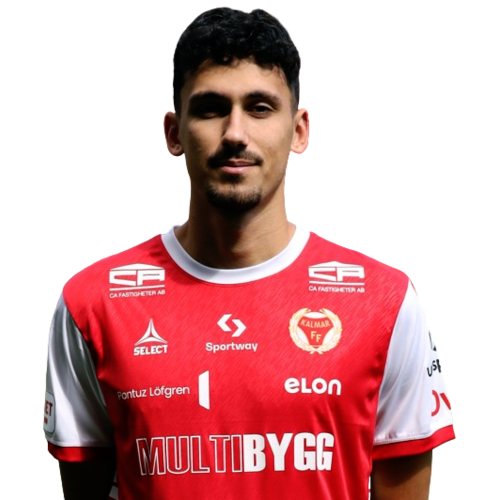 Dion Krasniqi Icon