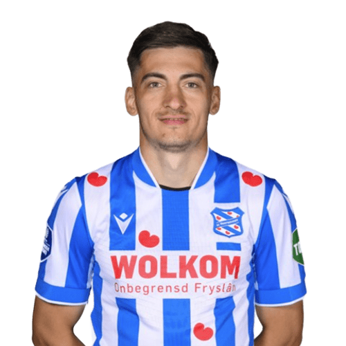 Ion Nicolăescu Icon