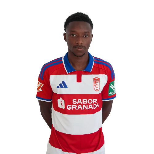 Baïla Diallo Icon