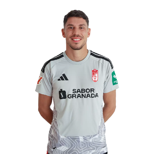 Raúl Lizoain Icon
