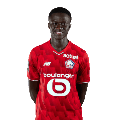Ousmane Touré Icon