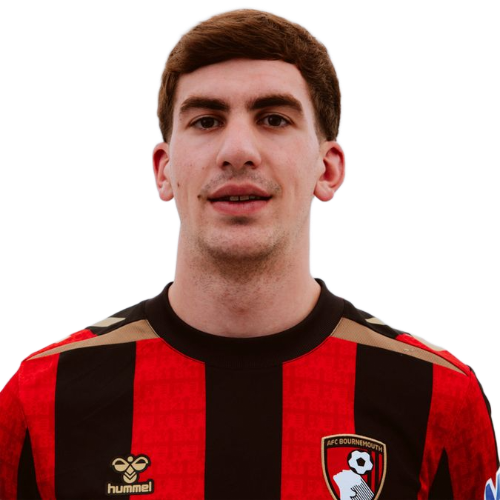 Veljko Milosavljevic Icon