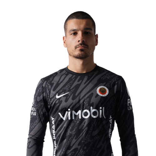 Ricardo Velho Icon