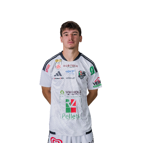 Boris Matić Icon