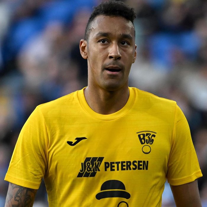Sonni Nattestad Icon