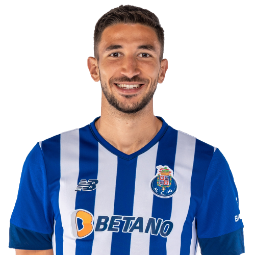 Marko Grujic Icon