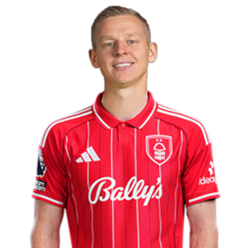Oleksandr Zinchenko Icon