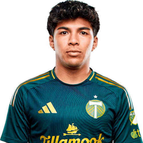 Omir Fernandez Icon