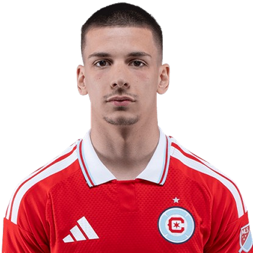 Viktor Radojević Icon