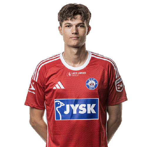 Alexander Busch Icon