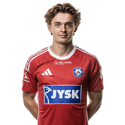Mads Larsen Icon